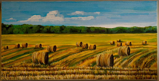 "Harvest" 12x24